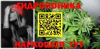 ECSTASY Кунгур