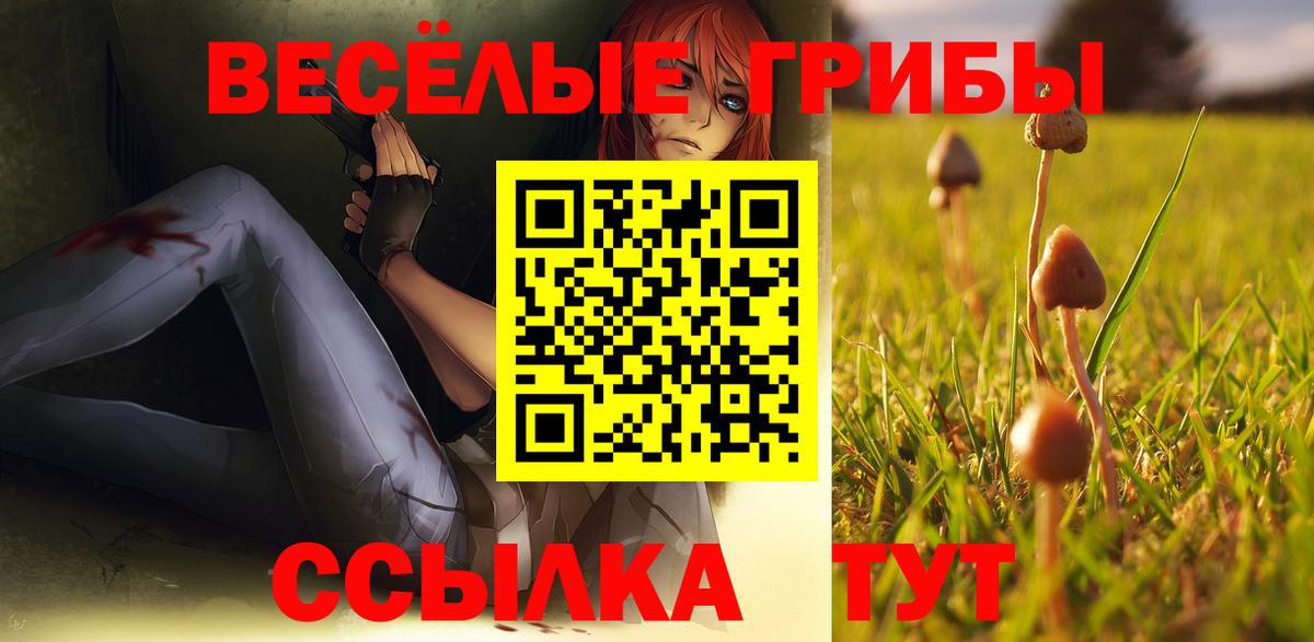 Псилоцибиновые грибы MAGIC MUSHROOMS  Галлюциногенные грибы прущие грибы  Вход с VPN  Костомукша 